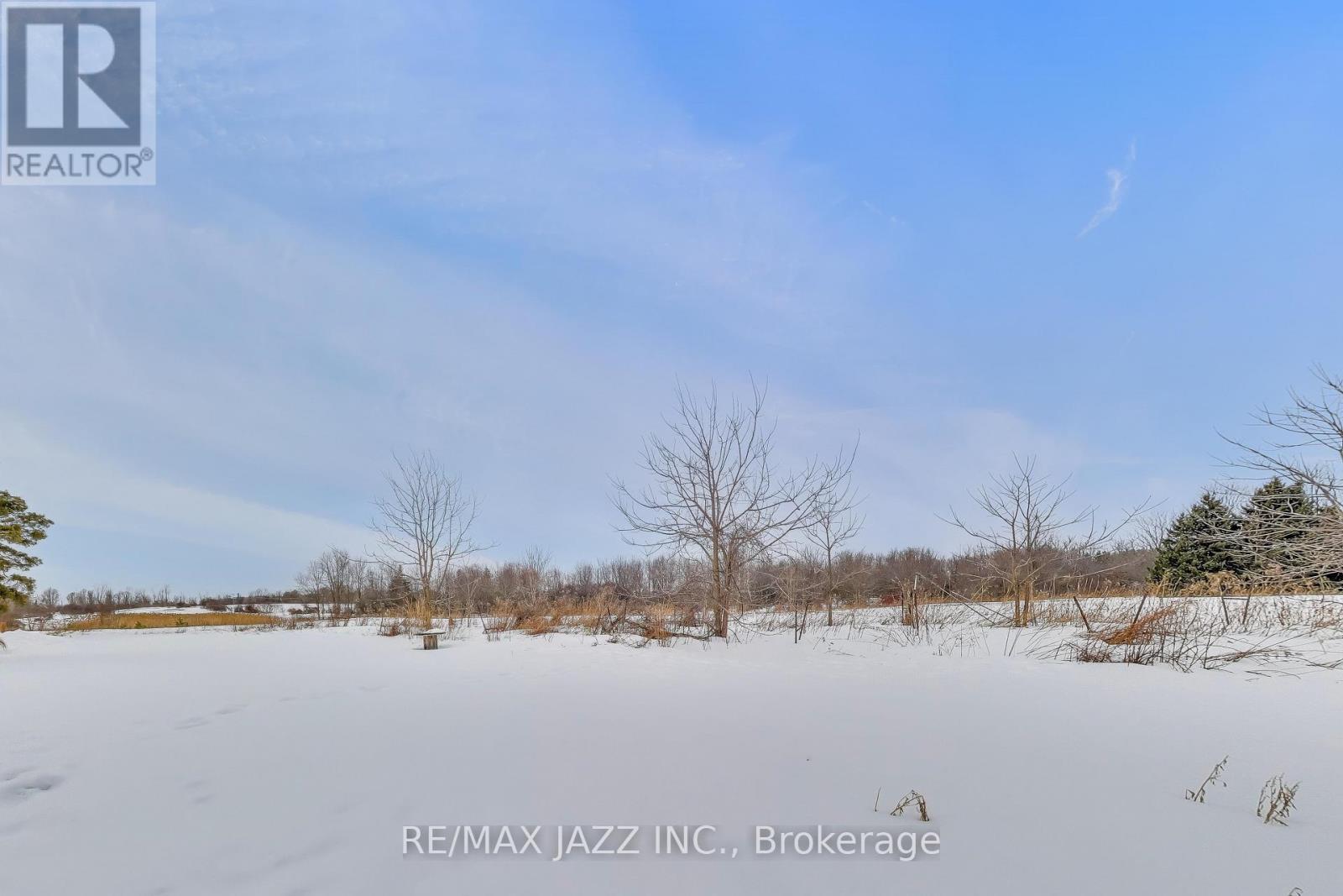 10274 County 2 Road, Alnwick/haldimand, Ontario  K9A 4J8 - Photo 38 - X12840532