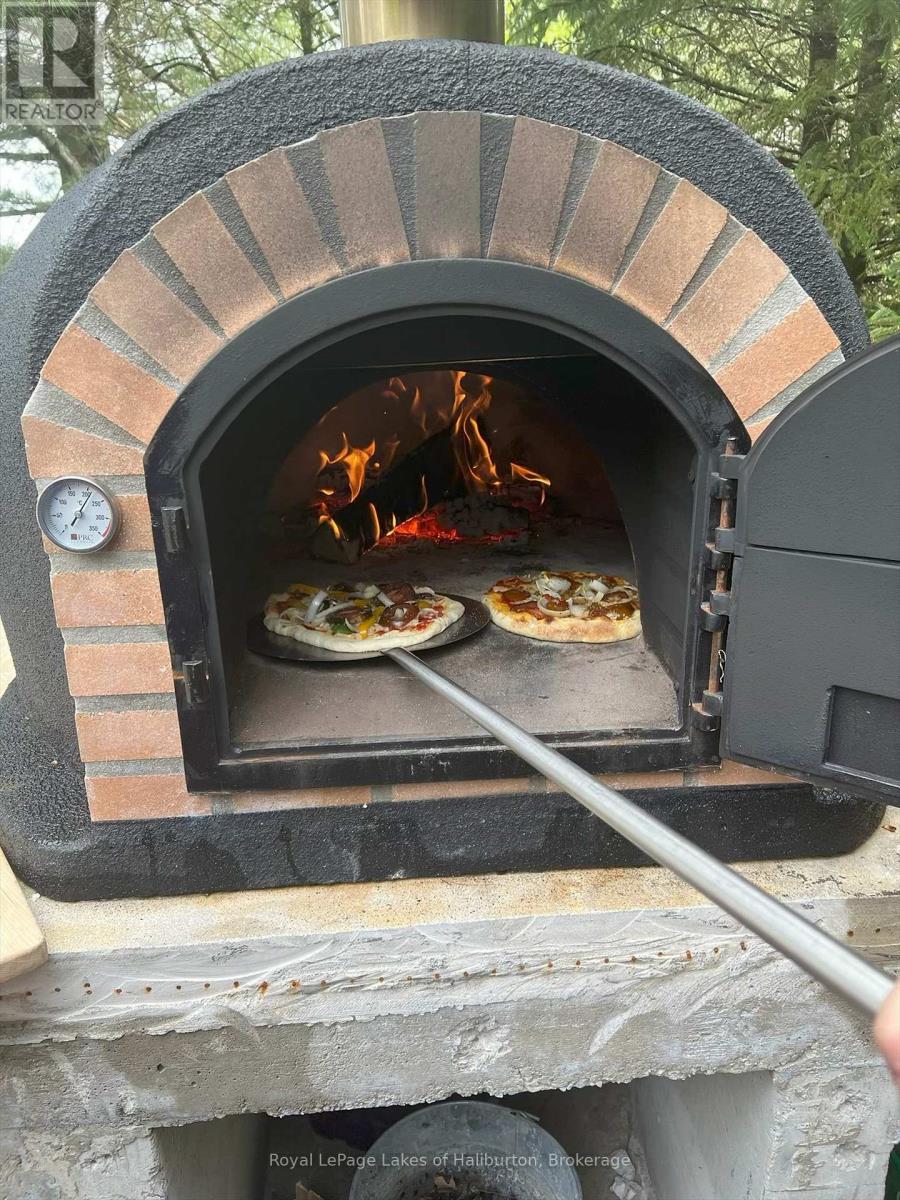 54 Clearview Drive, Trent Lakes, Ontario  K0M 2A0 - Photo 38 - X12840692