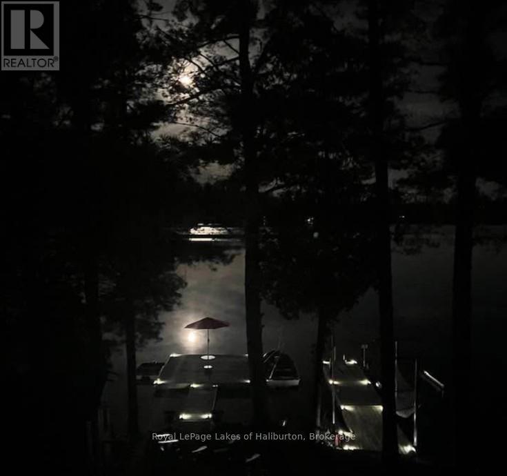 54 Clearview Drive, Trent Lakes, Ontario  K0M 2A0 - Photo 42 - X12840692