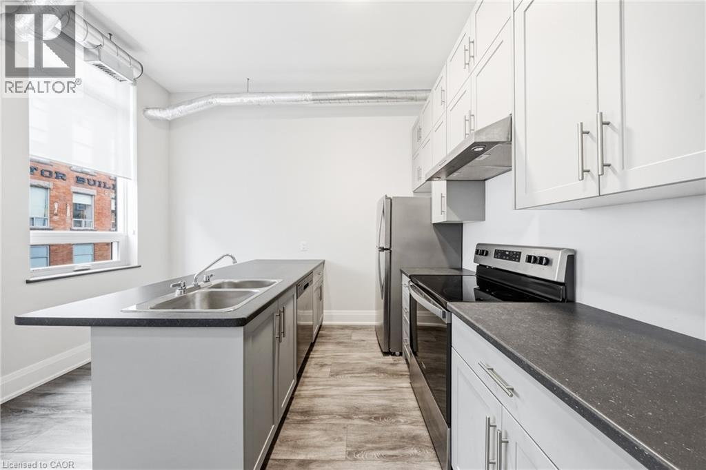 11 Queen Street Unit# 205, Brantford, Ontario  N3T 3B1 - Photo 12 - 40809230