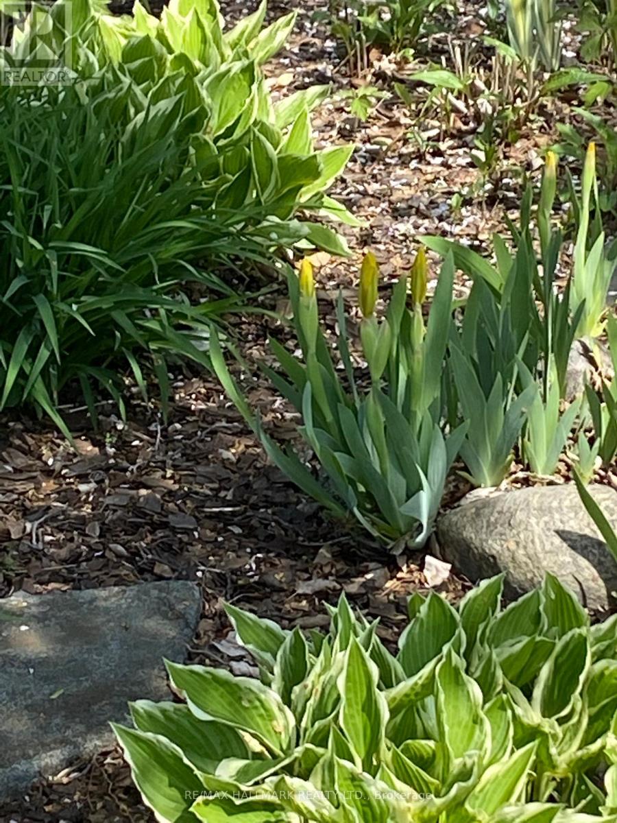 85 Roosevelt Road, Toronto, Ontario  M4J 4T8 - Photo 49 - E12840708