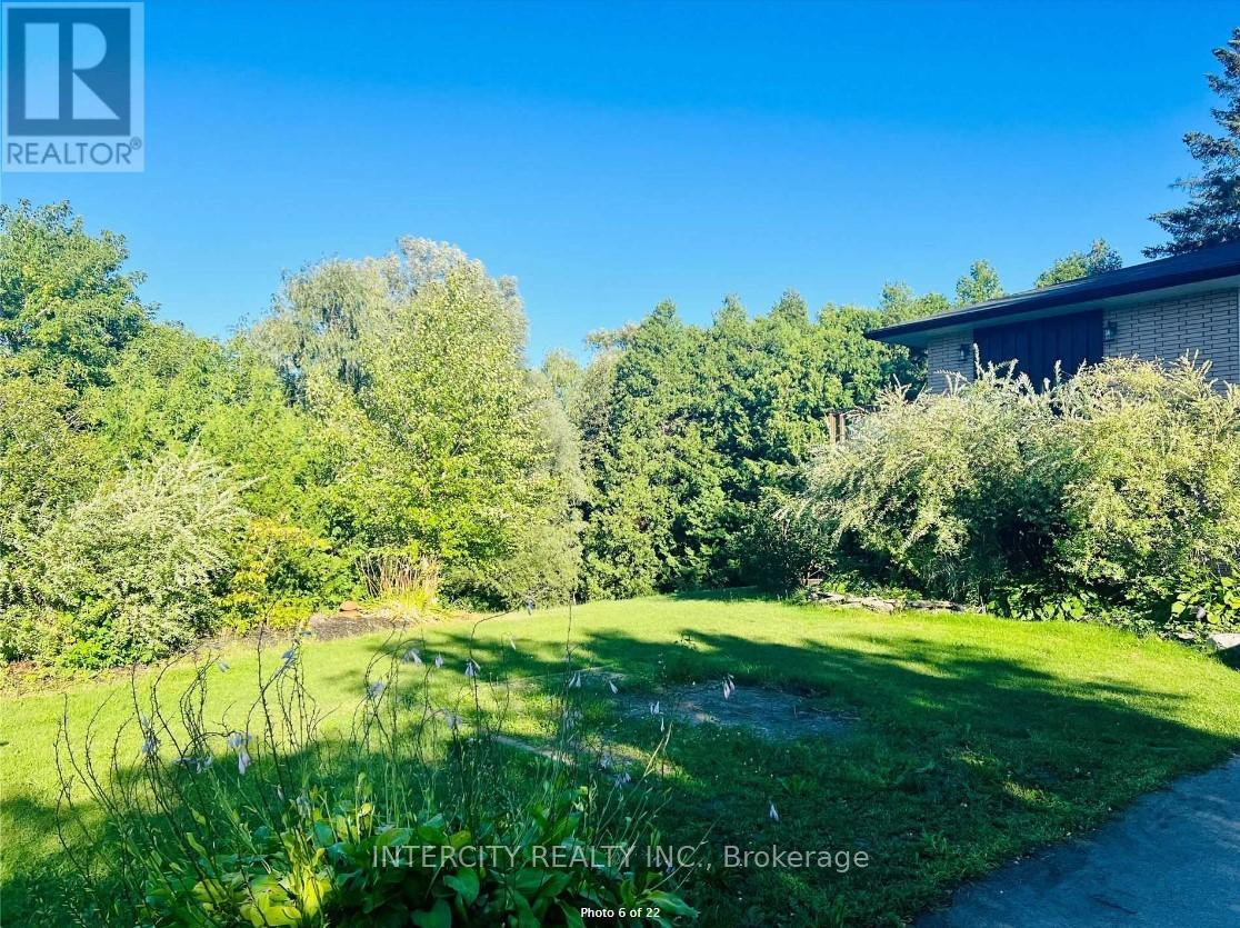 4483 5th Side Road, Essa, Ontario L0L 1L0 - Photo 6 - N12840818