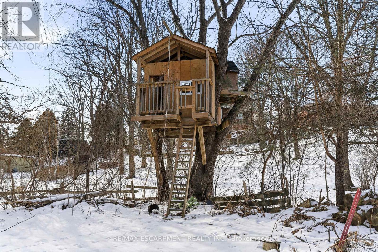 22 Rosebough Street, Hamilton, Ontario  L9H 5C5 - Photo 37 - X12824354