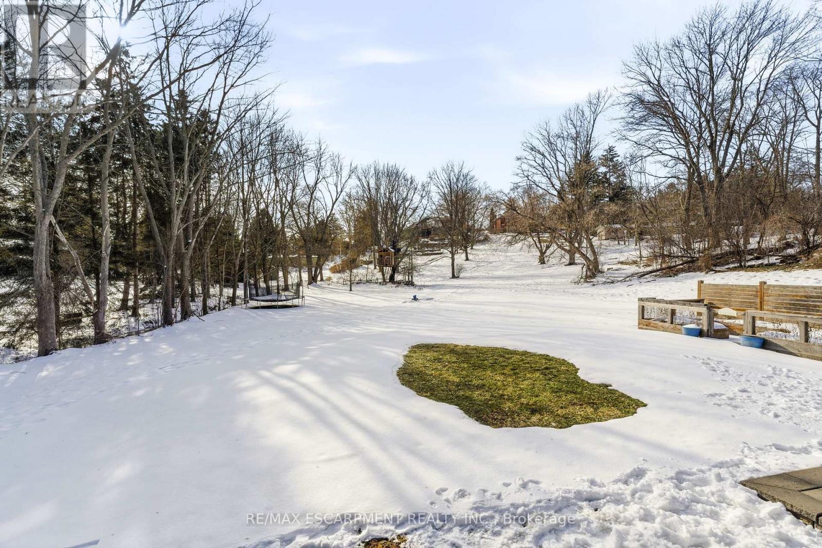 22 Rosebough Street, Hamilton, Ontario  L9H 5C5 - Photo 36 - X12824354