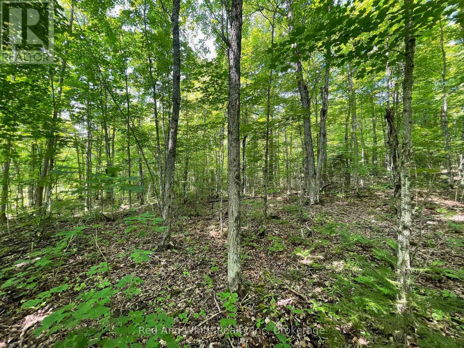 285 Chapman Drive, Magnetawan, Ontario  P0A 1P0 - Photo 4 - X12841100