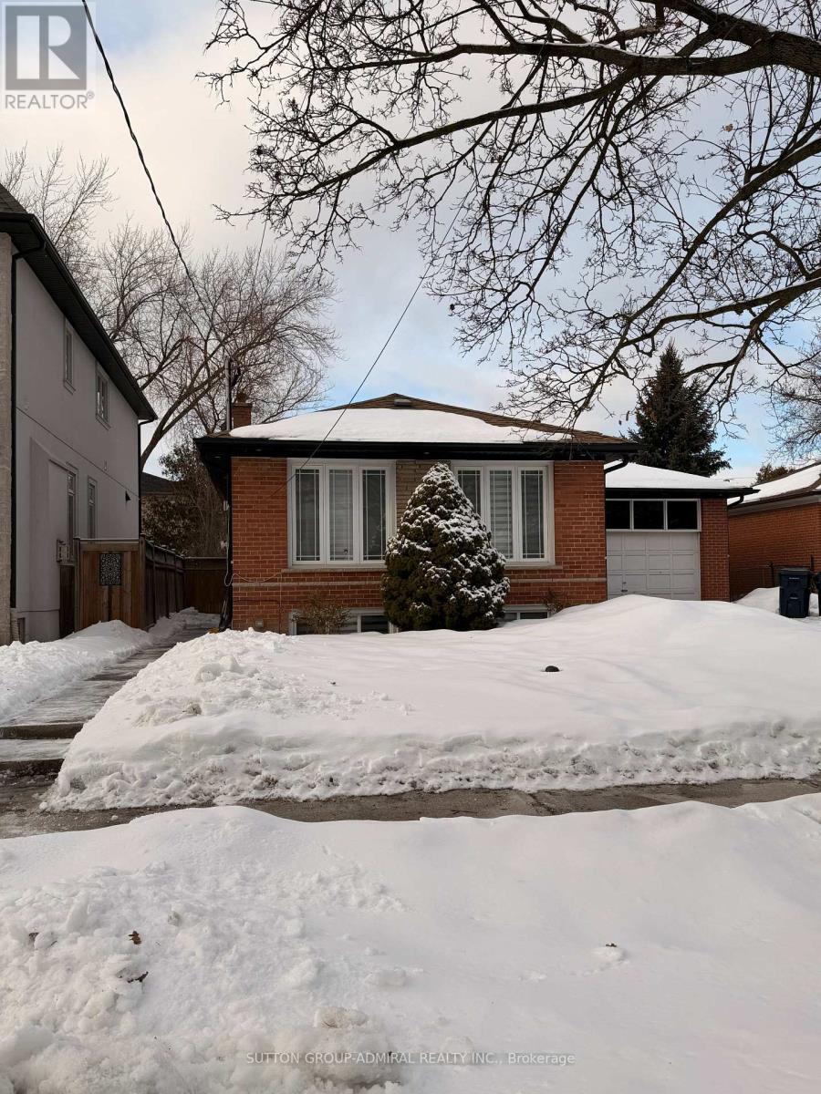 Bsmt - 138 Goulding Avenue, Toronto, Ontario  M2M 1L6 - Photo 2 - C12821908