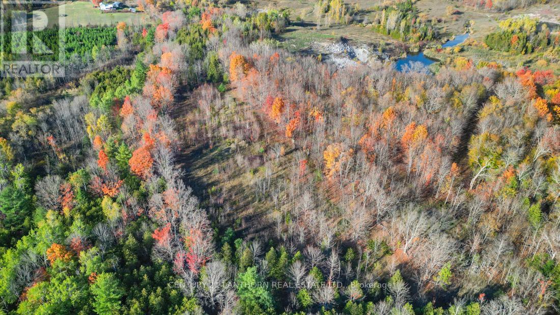 3 Acreman Road, Centre Hastings, Ontario  K0K 2K0 - Photo 14 - X12485264