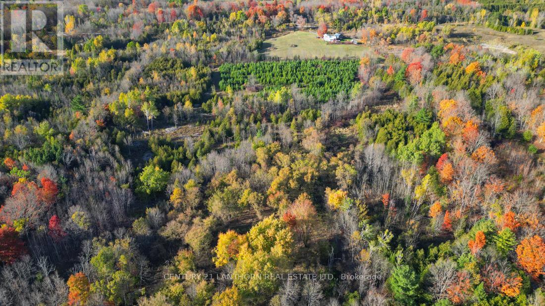 3 Acreman Road, Centre Hastings, Ontario  K0K 2K0 - Photo 10 - X12485264