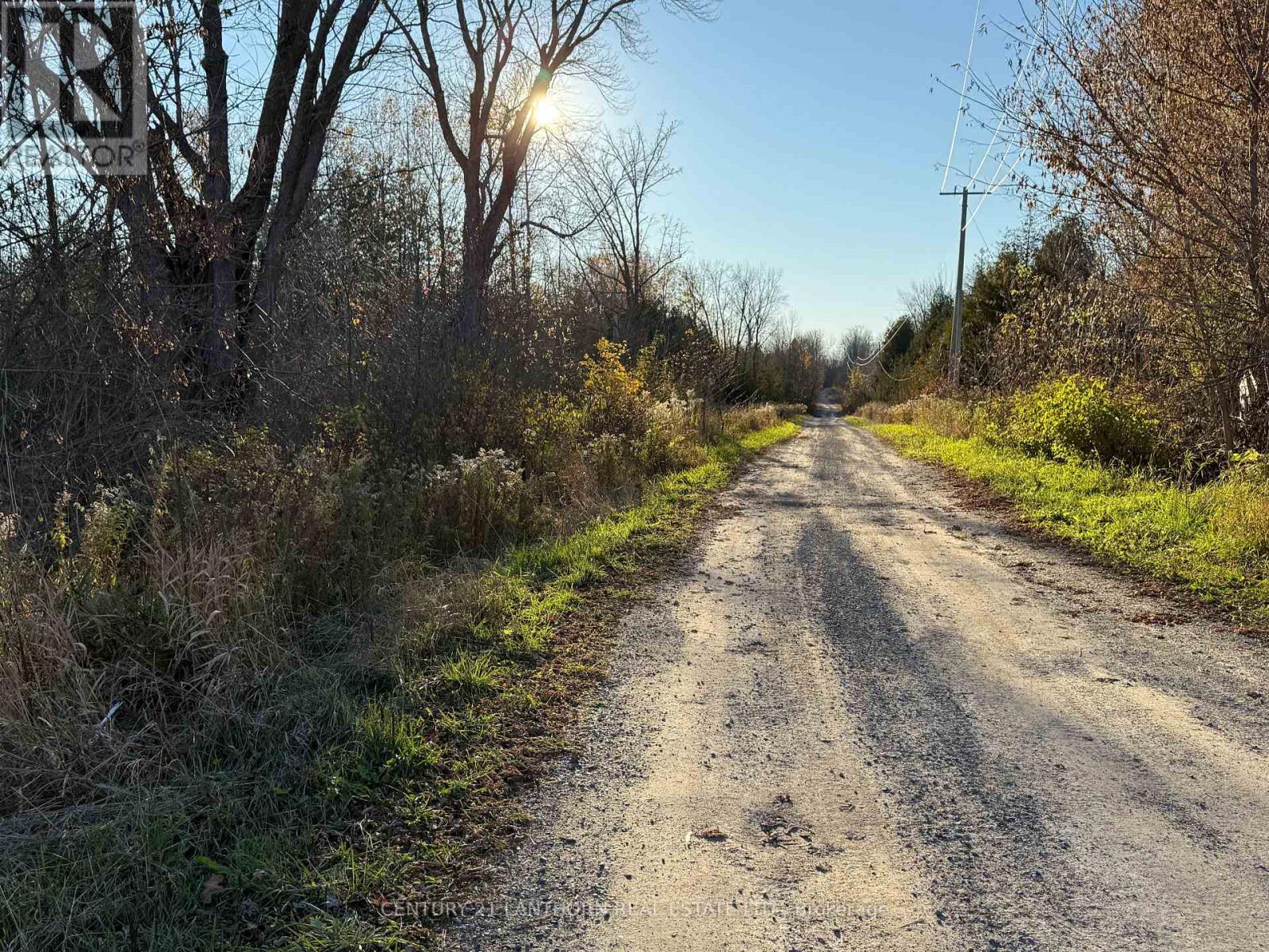 3 Acreman Road, Centre Hastings, Ontario  K0K 2K0 - Photo 20 - X12485264