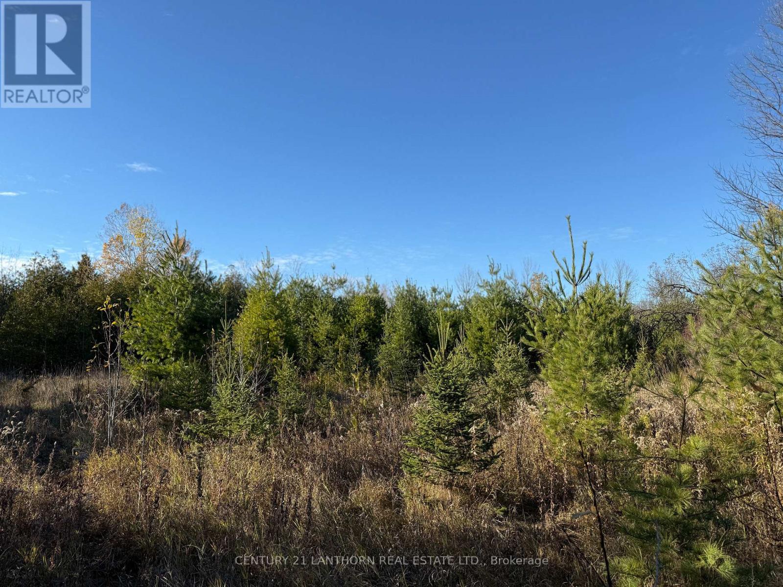 3 Acreman Road, Centre Hastings, Ontario  K0K 2K0 - Photo 25 - X12485264