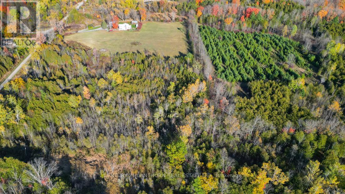 3 Acreman Road, Centre Hastings, Ontario  K0K 2K0 - Photo 5 - X12485264