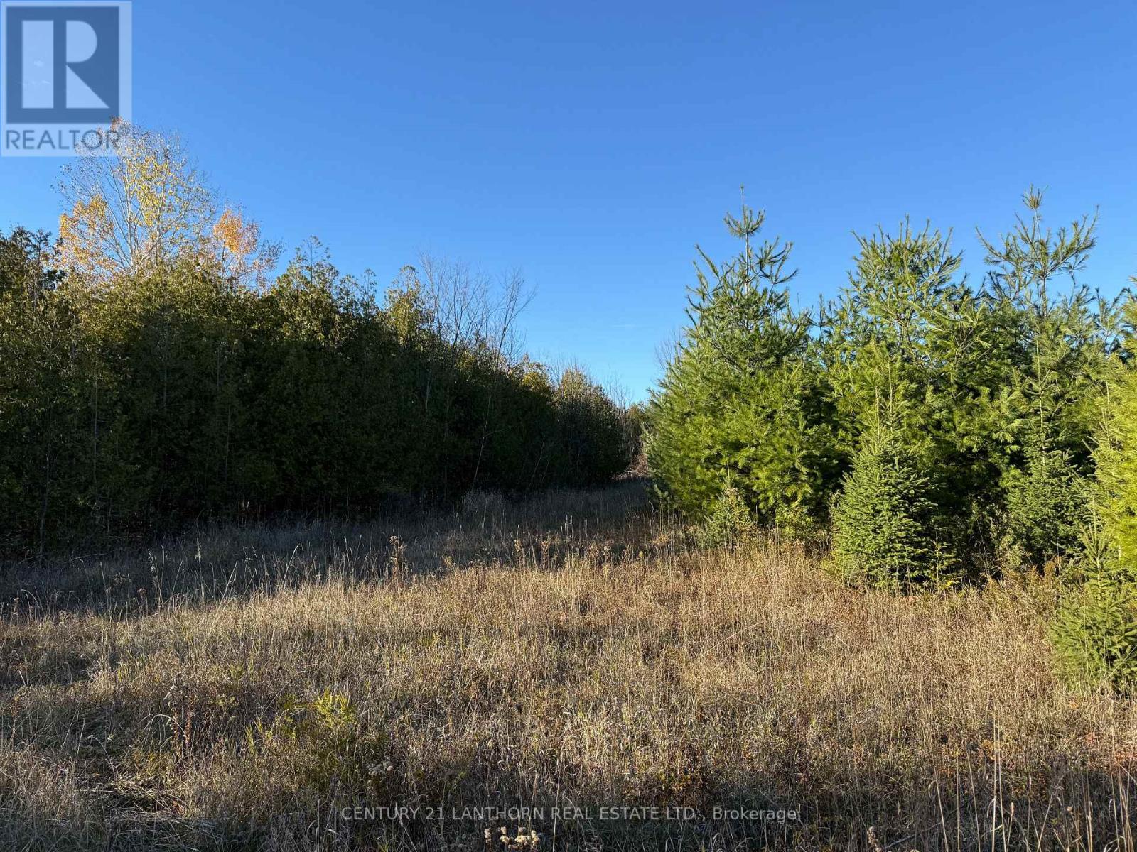 3 Acreman Road, Centre Hastings, Ontario  K0K 2K0 - Photo 23 - X12485264