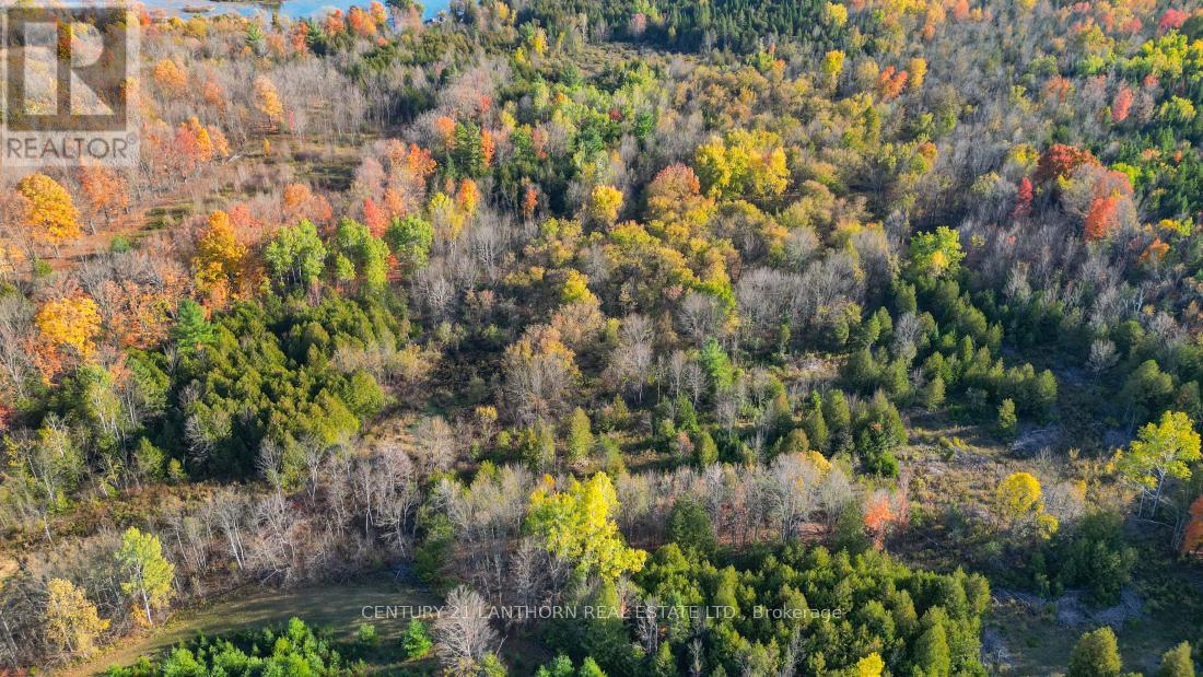 3 Acreman Road, Centre Hastings, Ontario  K0K 2K0 - Photo 8 - X12485264