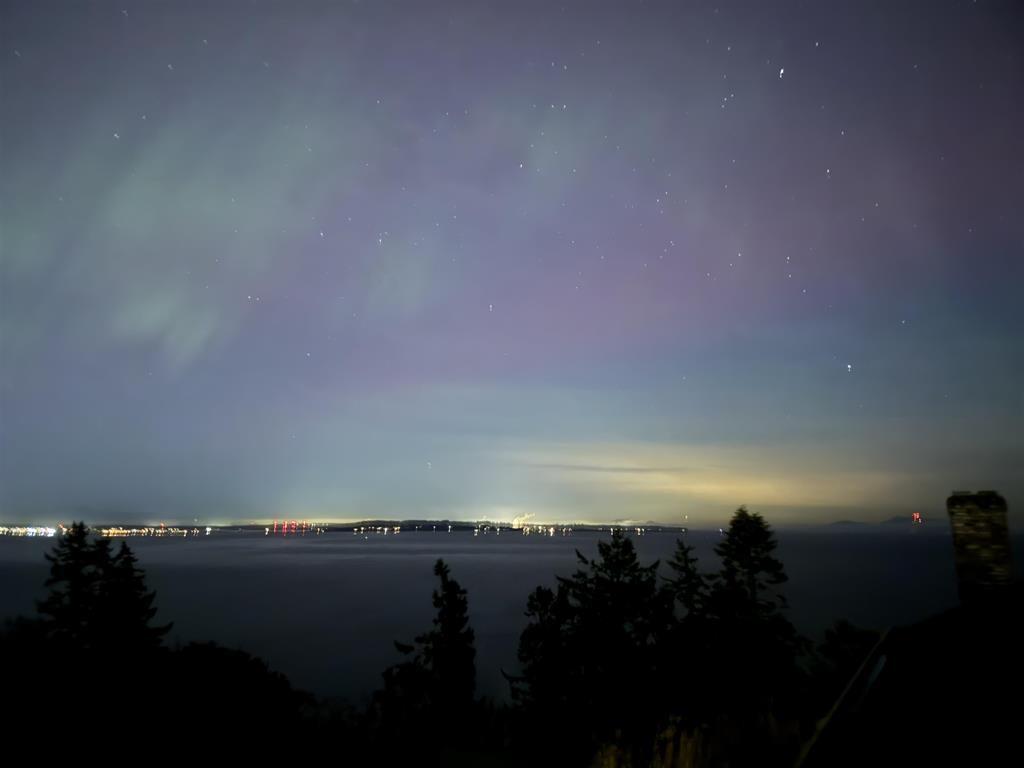 13026 13 Avenue, Surrey, British Columbia  V4A 1B8 - Photo 38 - R3095270