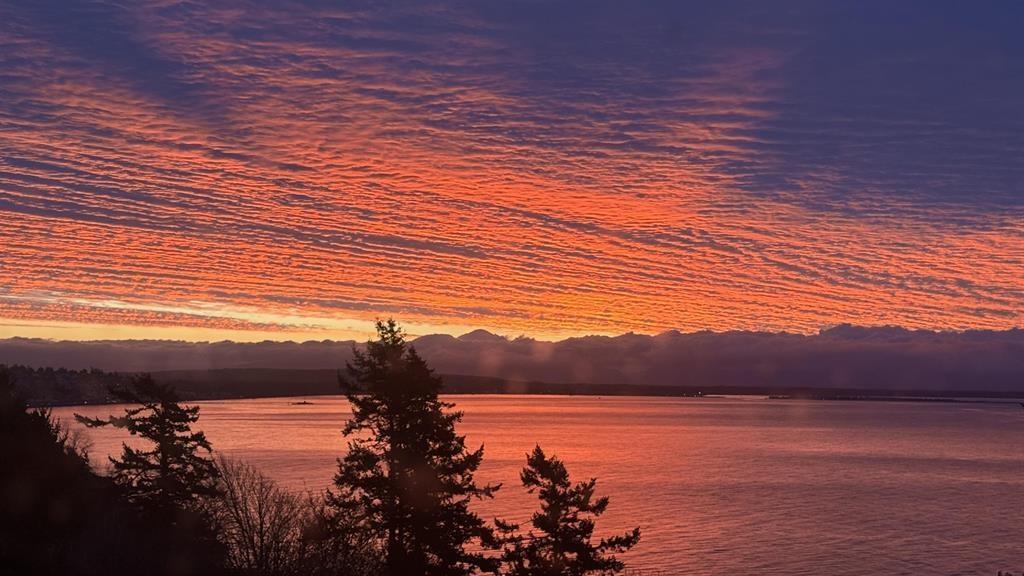 13026 13 Avenue, Surrey, British Columbia  V4A 1B8 - Photo 36 - R3095270