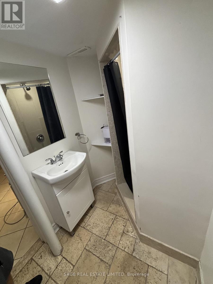 Lower - 417 Crawford Street, Toronto, Ontario  M6G 3J7 - Photo 10 - C12841574