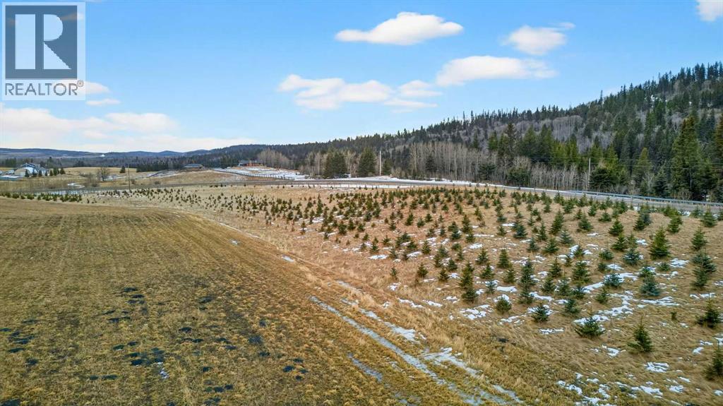 Parkins Road, Rural Foothills County, Alberta  T0L 1K0 - Photo 19 - A2284859