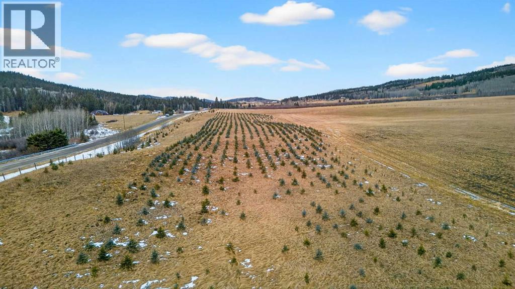 Parkins Road, Rural Foothills County, Alberta  T0L 1K0 - Photo 23 - A2284859