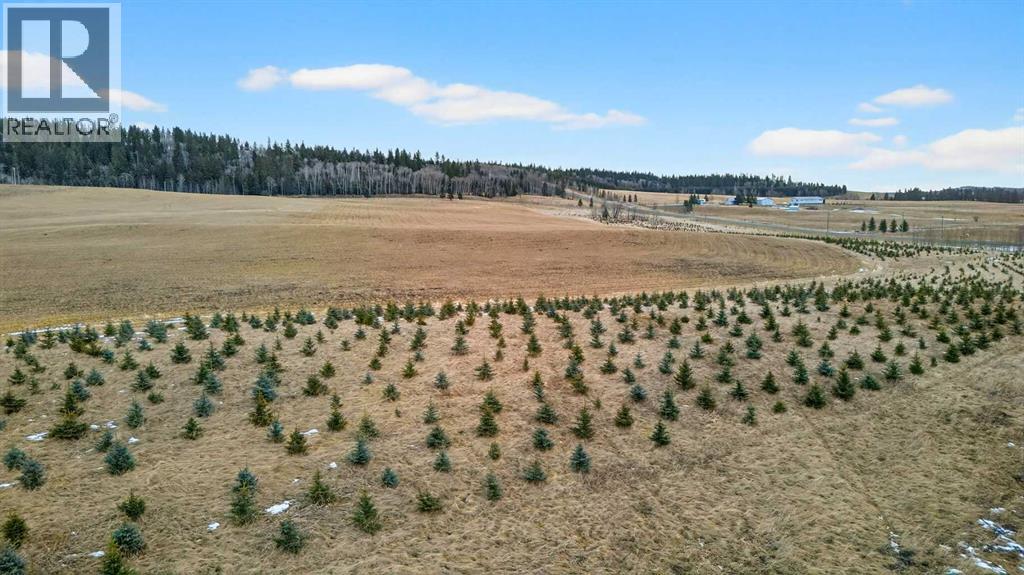 Parkins Road, Rural Foothills County, Alberta  T0L 1K0 - Photo 21 - A2284859