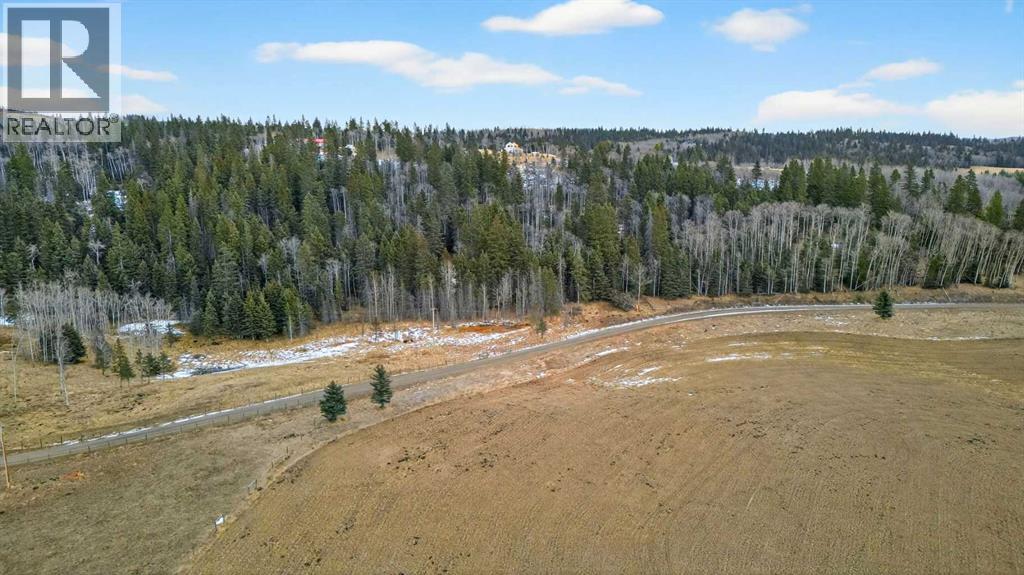 Parkins Road, Rural Foothills County, Alberta  T0L 1K0 - Photo 15 - A2284859