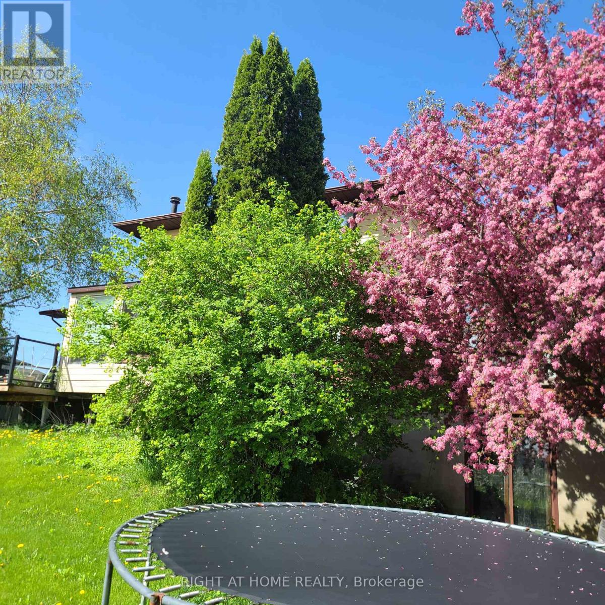 2853 Bellwood Drive, Clarington, Ontario  L1B 0L5 - Photo 7 - E12841548