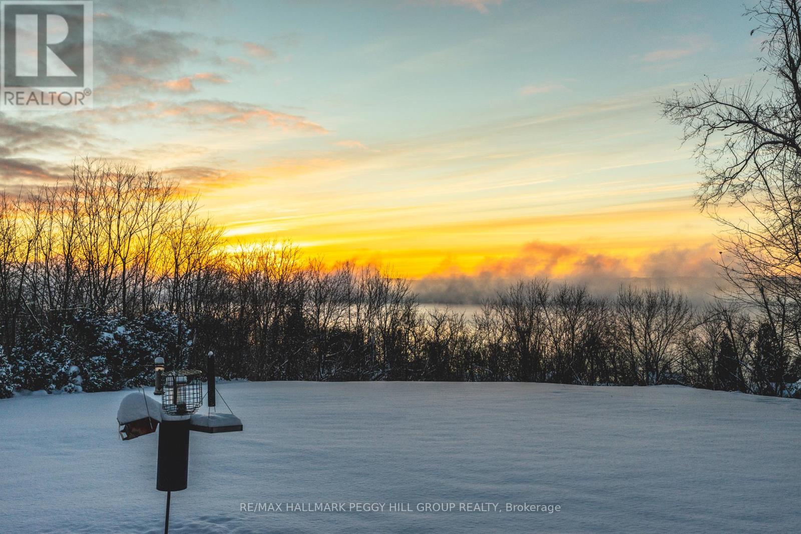 150 Collingwood Street, Barrie, Ontario  L4M 5M3 - Photo 4 - S12841370