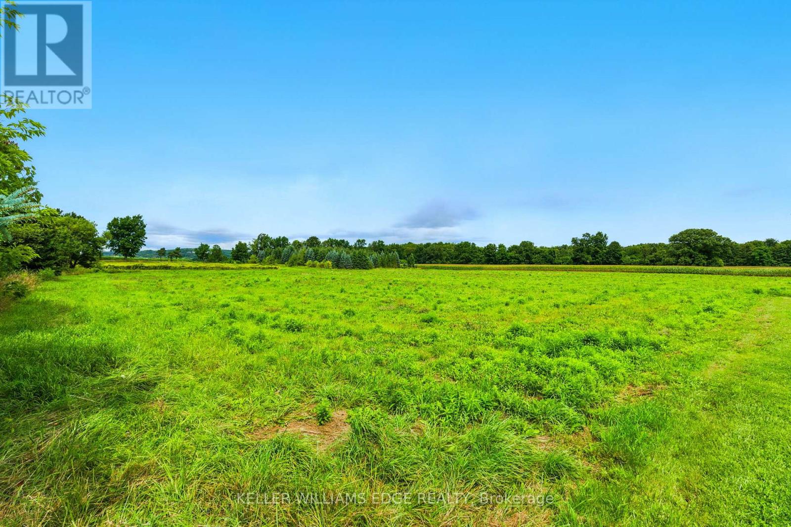 6101 Walkers Line, Burlington, Ontario  L7M 0R2 - Photo 35 - W12841420