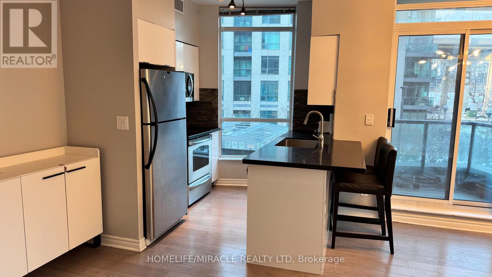 203 - 219 Fort York Boulevard, Toronto, Ontario  M5V 1B1 - Photo 33 - C12684076