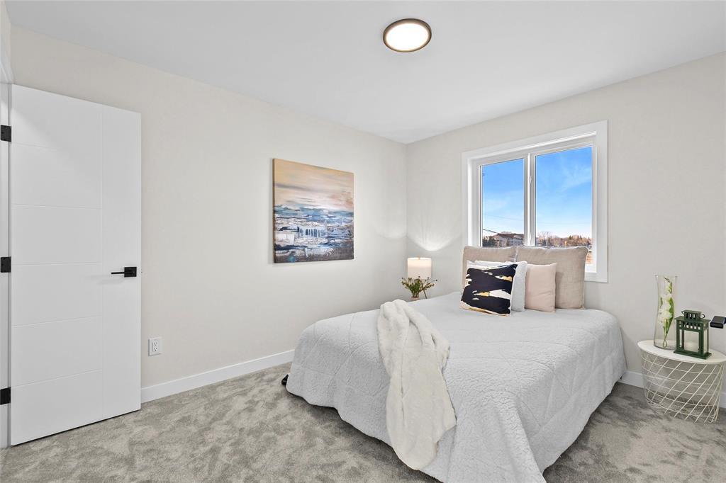 293 Numeracy Lane, Winnipeg, Manitoba  R2P 3A6 - Photo 6 - 202603406