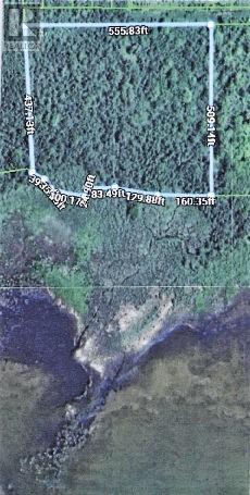 261 4 Th Line, Gore Bay, Ontario  P0P 1H0 - Photo 5 - 2126660