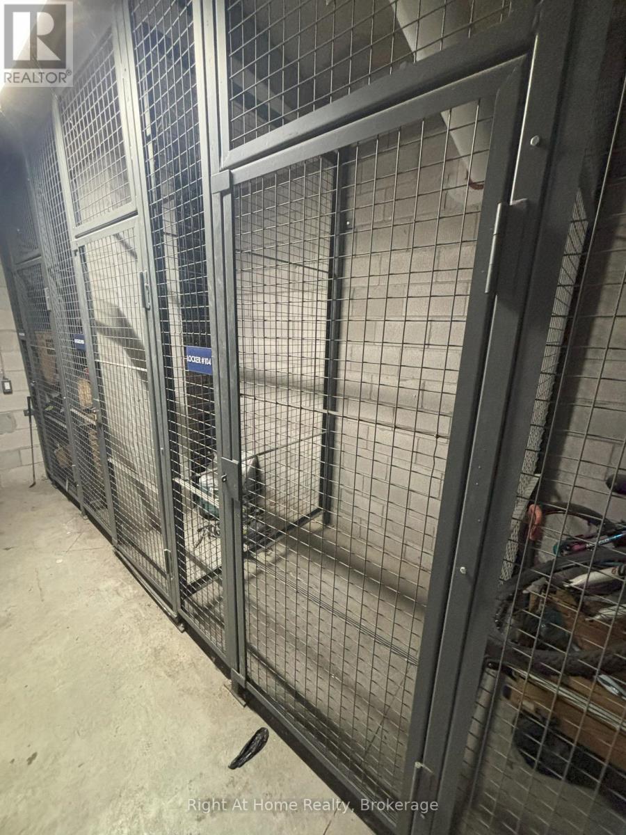 308 - 1 Wellington Street, Brantford, Ontario  N3T 2L3 - Photo 19 - X12841920