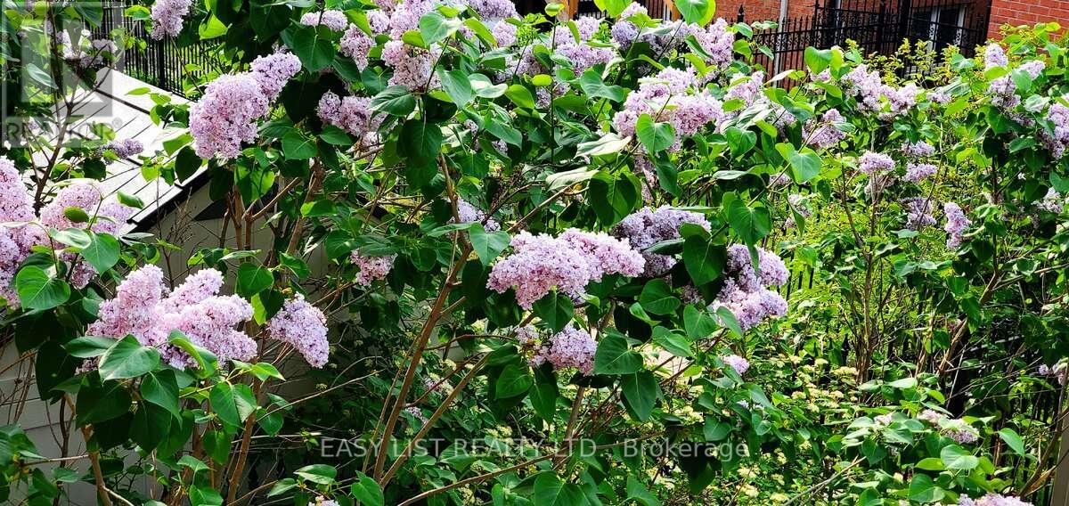 345 Tower Hill Road, Richmond Hill, Ontario  L4E 0A6 - Photo 28 - N12841868