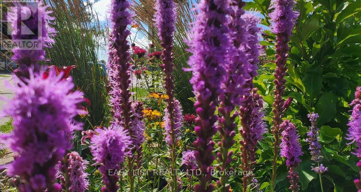 345 Tower Hill Road, Richmond Hill, Ontario  L4E 0A6 - Photo 30 - N12841868