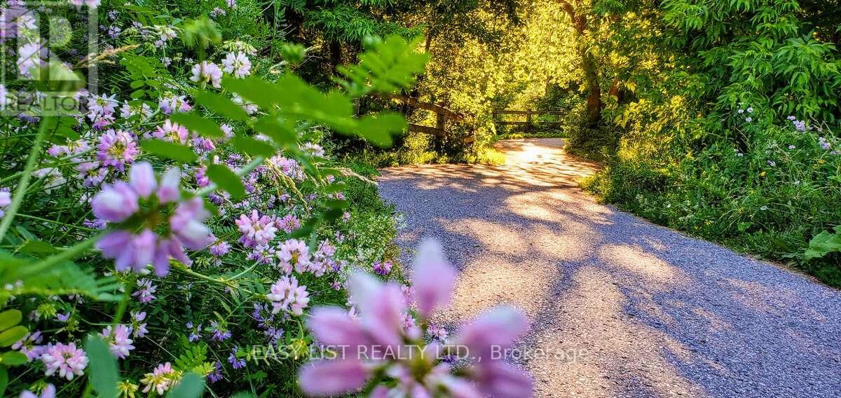 345 Tower Hill Road, Richmond Hill, Ontario  L4E 0A6 - Photo 32 - N12841868