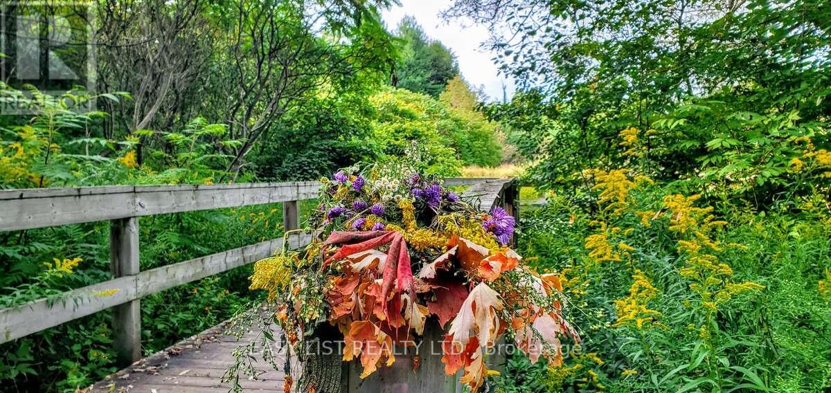 345 Tower Hill Road, Richmond Hill, Ontario  L4E 0A6 - Photo 33 - N12841868