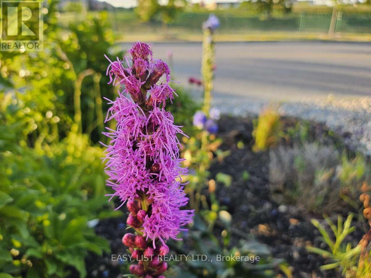 345 Tower Hill Road, Richmond Hill, Ontario  L4E 0A6 - Photo 36 - N12841868