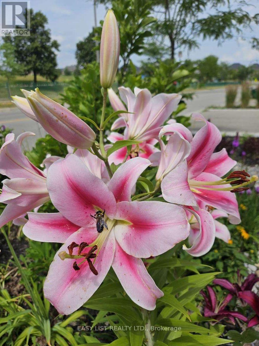 345 Tower Hill Road, Richmond Hill, Ontario  L4E 0A6 - Photo 37 - N12841868