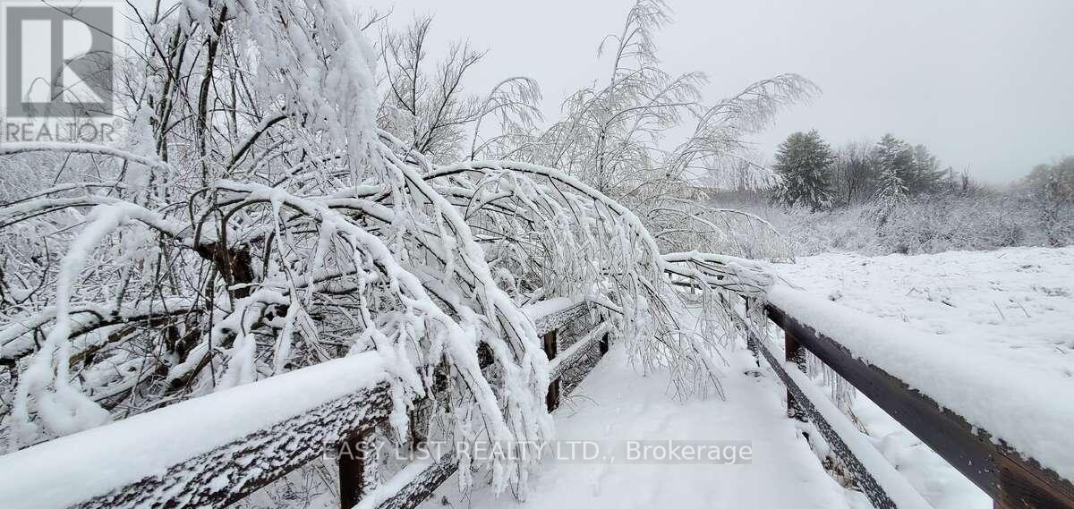 345 Tower Hill Road, Richmond Hill, Ontario  L4E 0A6 - Photo 39 - N12841868