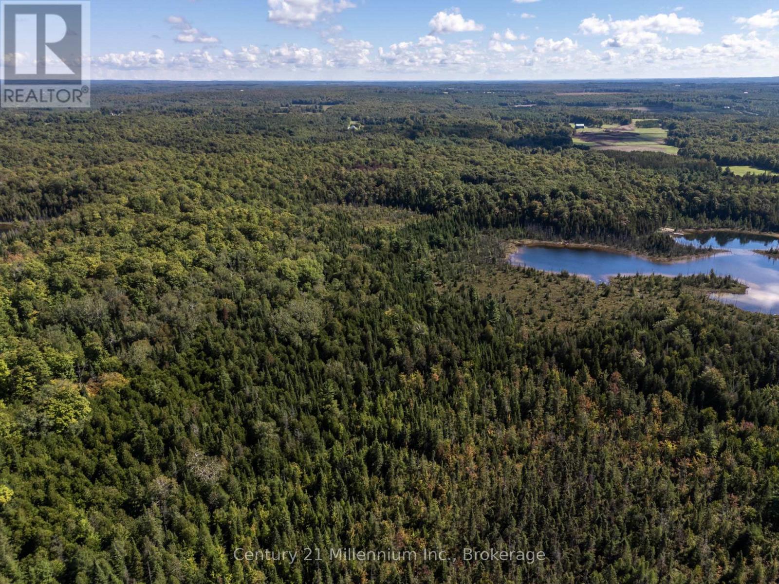 315421 Highway 6 Highway, Chatsworth, Ontario  N0H 2V0 - Photo 14 - X12839216