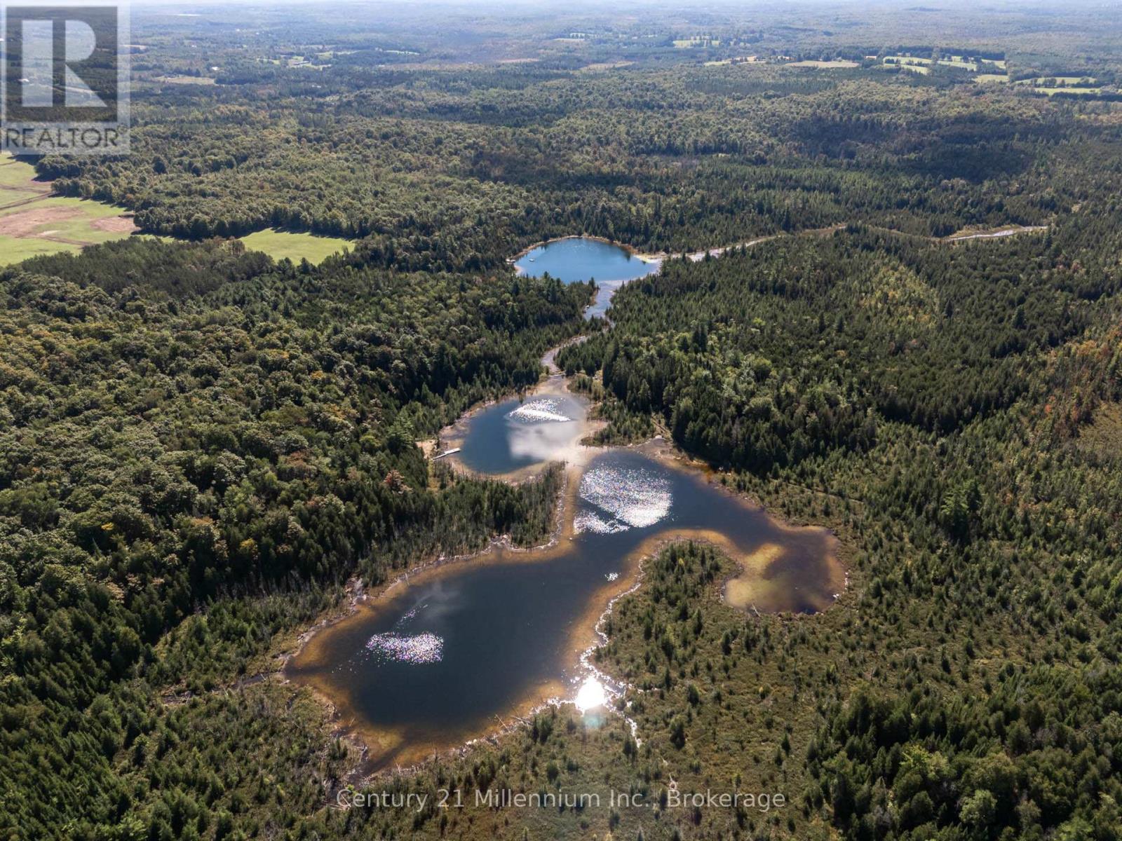 315421 Highway 6 Highway, Chatsworth, Ontario  N0H 2V0 - Photo 10 - X12839216