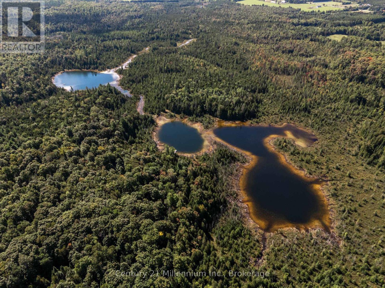 315421 Highway 6 Highway, Chatsworth, Ontario  N0H 2V0 - Photo 12 - X12839216