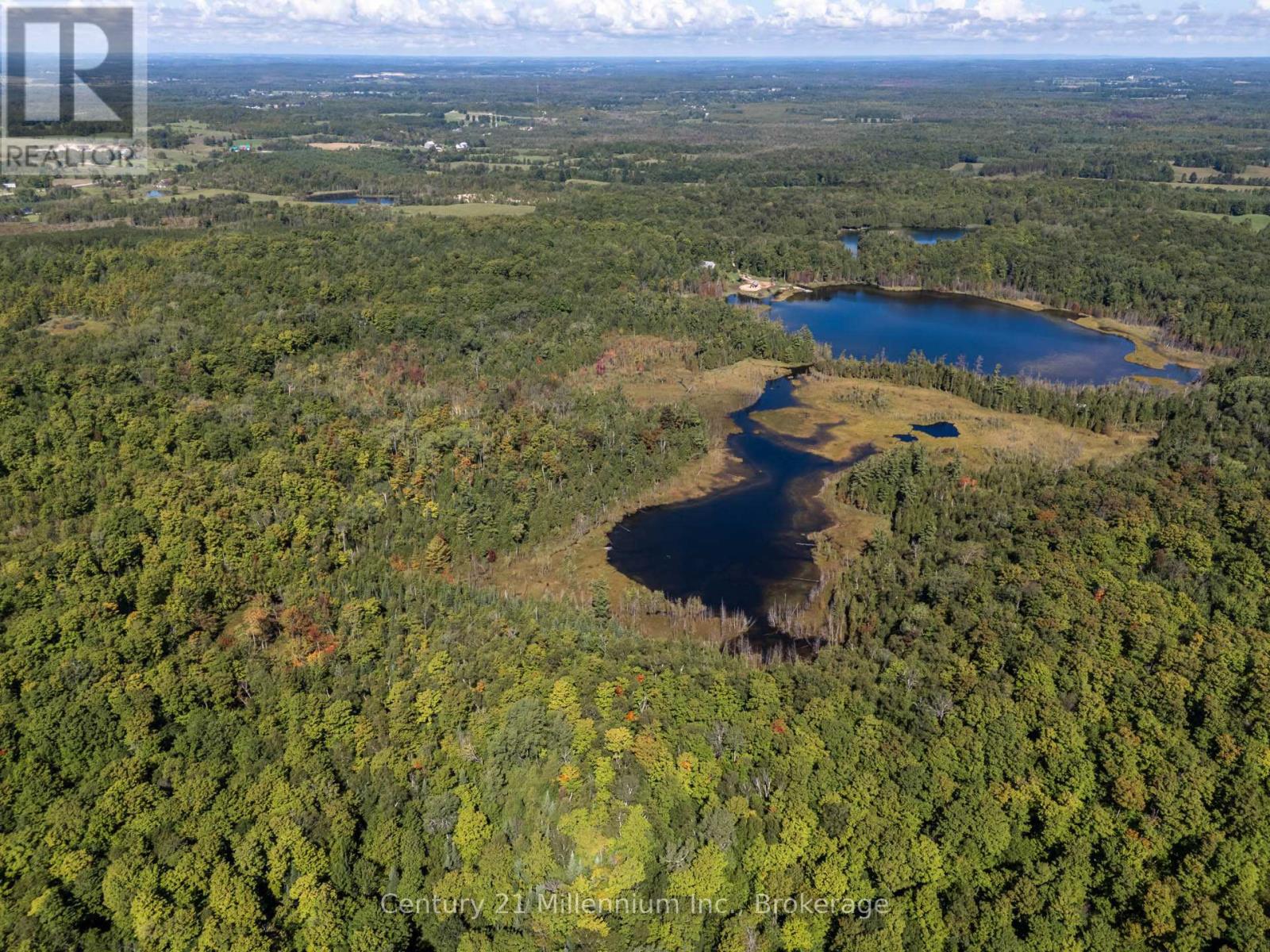 315421 Highway 6 Highway, Chatsworth, Ontario  N0H 2V0 - Photo 13 - X12839216