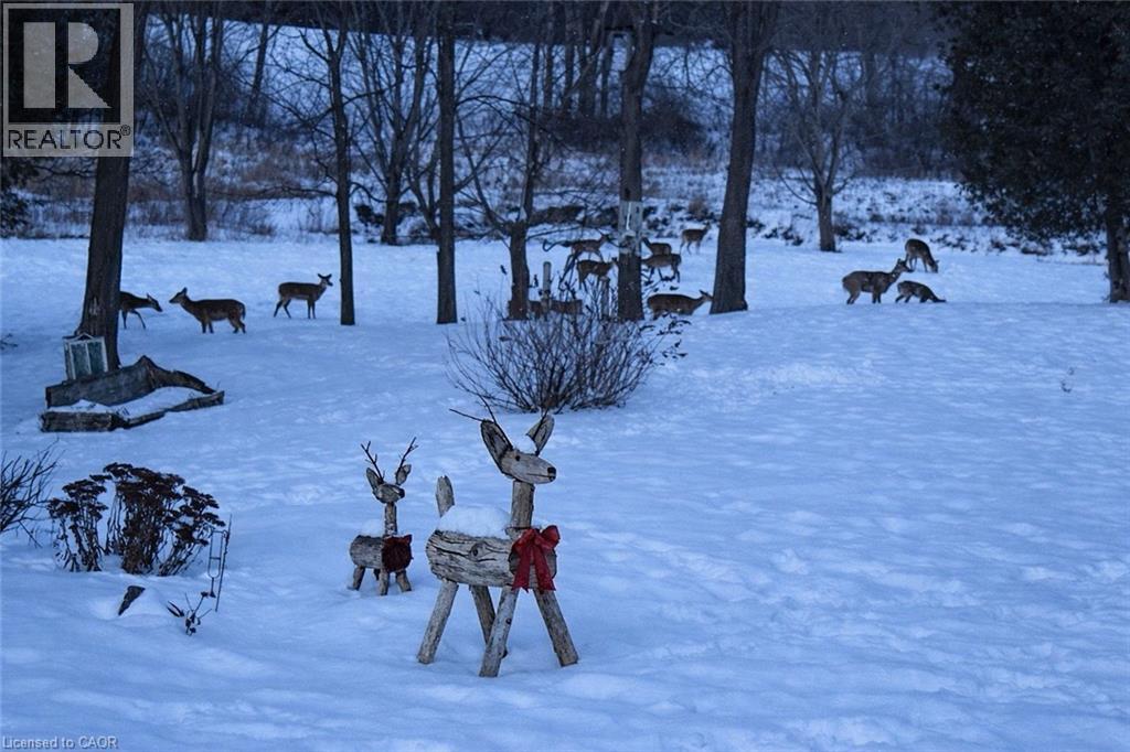 2080 Beaverdale Road, Cambridge, Ontario  N3H 4R7 - Photo 48 - 40805546