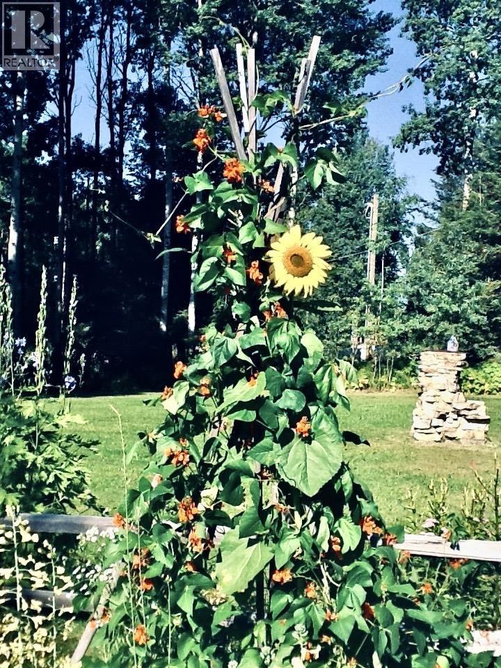 310 Mountain View Road, Mcbride, British Columbia  V0J 2E0 - Photo 29 - R3071226