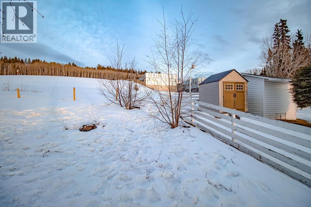 162 E 5th Avenue, Fort St. James, British Columbia  V0J 1P0 - Photo 17 - R3095476