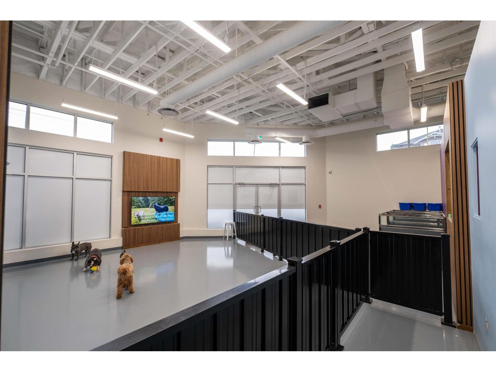 103 14390 64 Avenue, Surrey, British Columbia  V3W 1Z1 - Photo 5 - C8076711