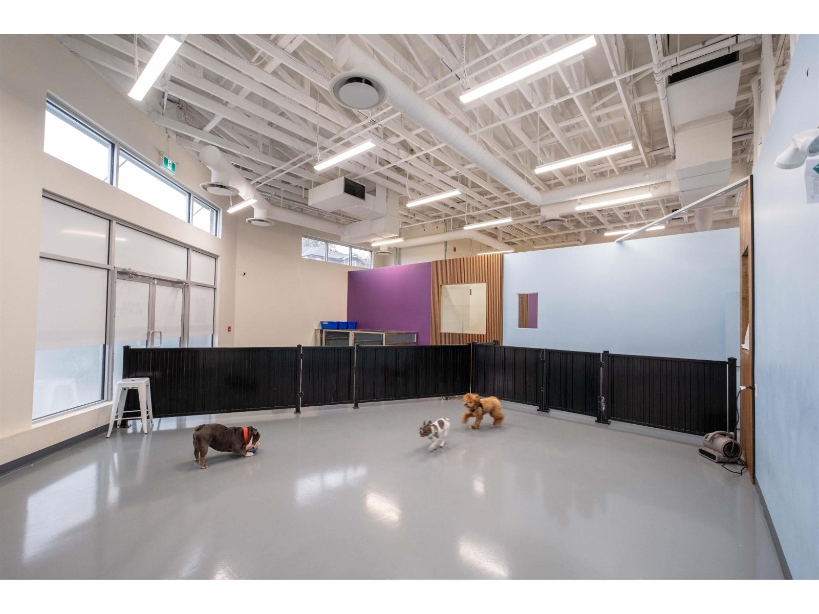 103 14390 64 Avenue, Surrey, British Columbia  V3W 1Z1 - Photo 6 - C8076711