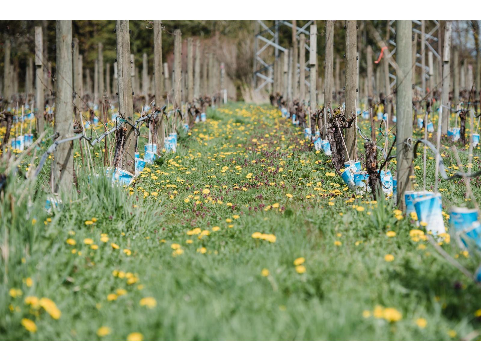 3033 232 Street, Langley, British Columbia  V2Z 3A8 - Photo 10 - C8076651