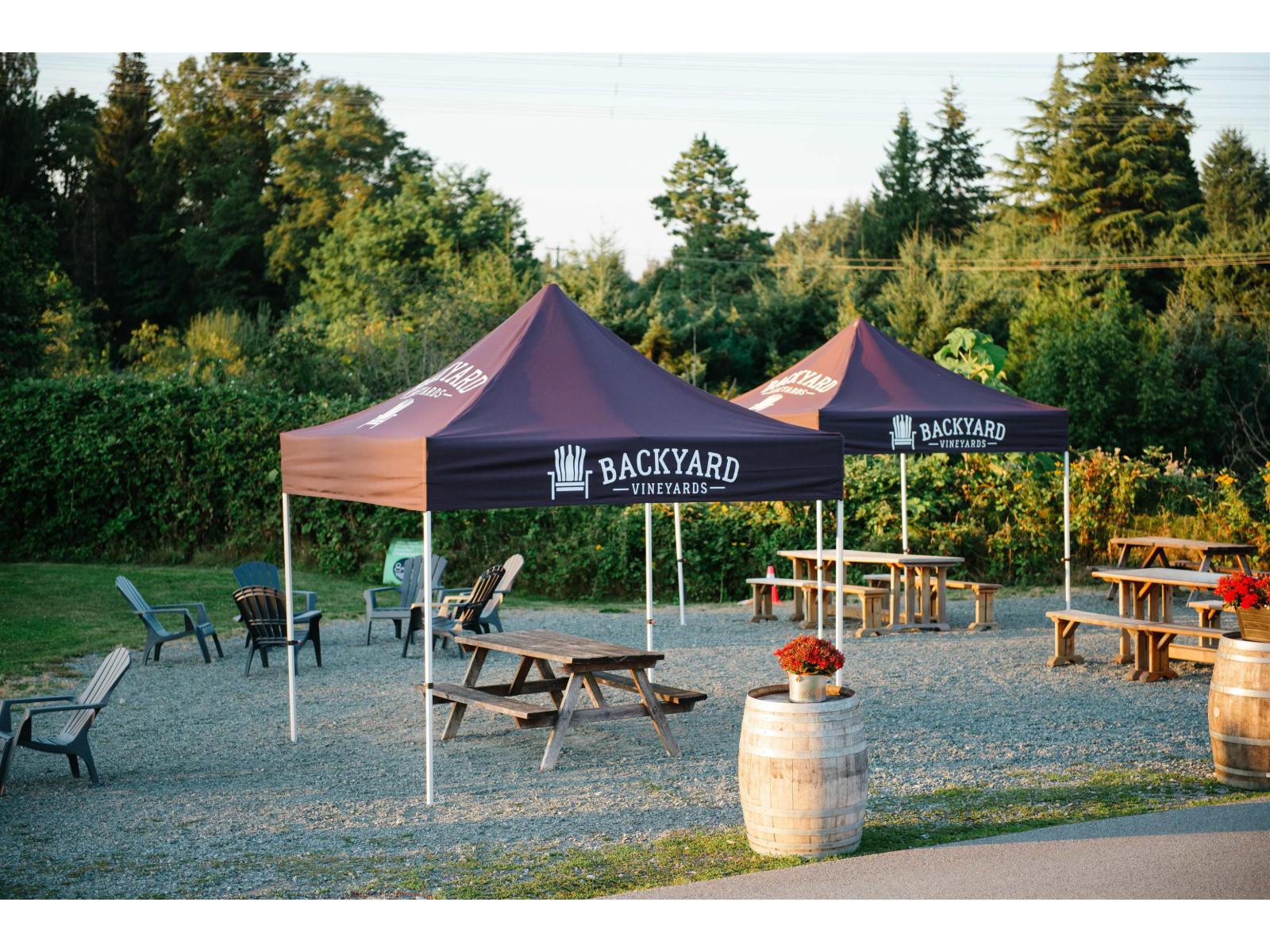 3033 232 Street, Langley, British Columbia  V2Z 3A8 - Photo 9 - C8076651