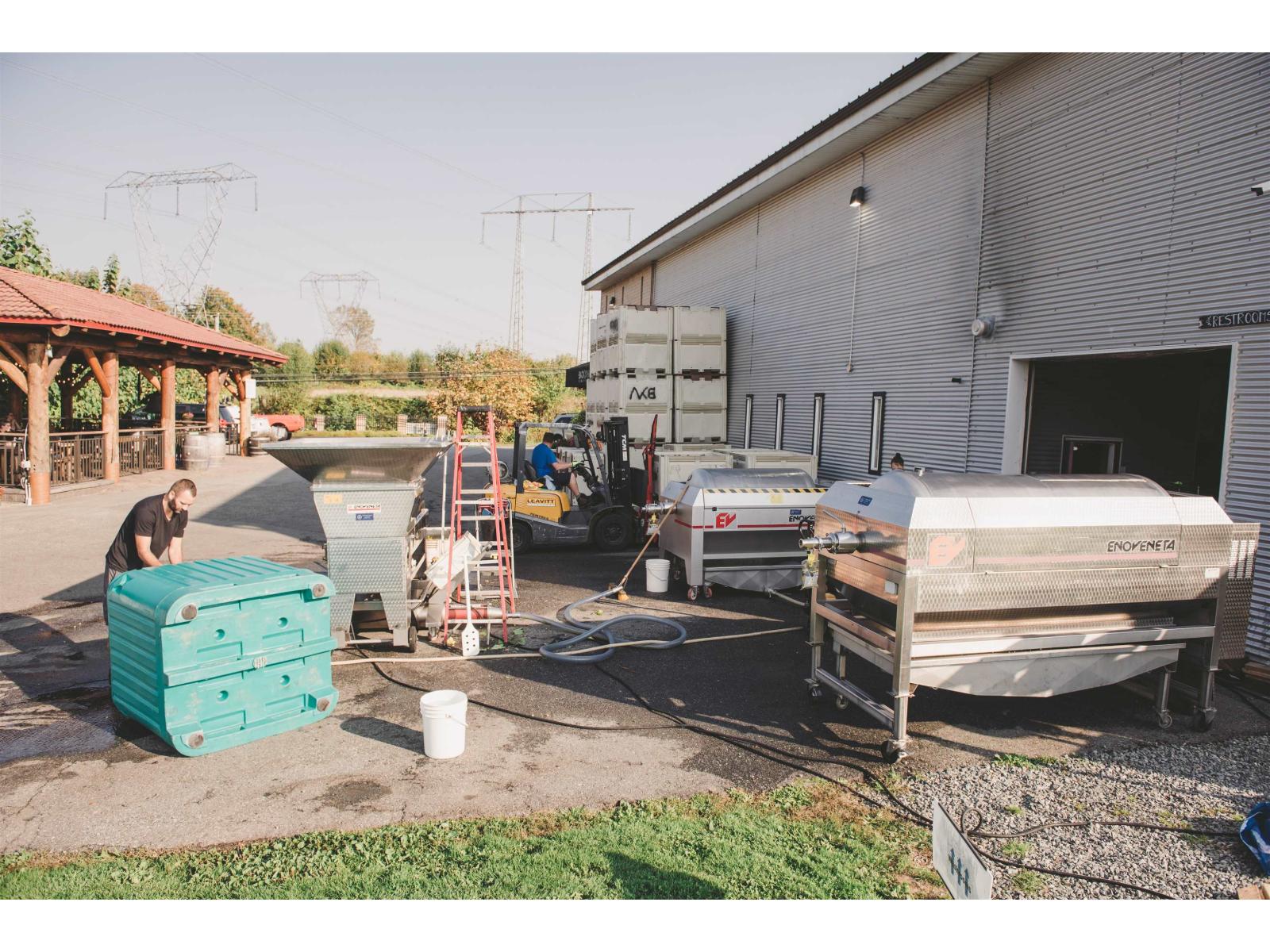 3033 232 Street, Langley, British Columbia  V2Z 3A8 - Photo 11 - C8076651